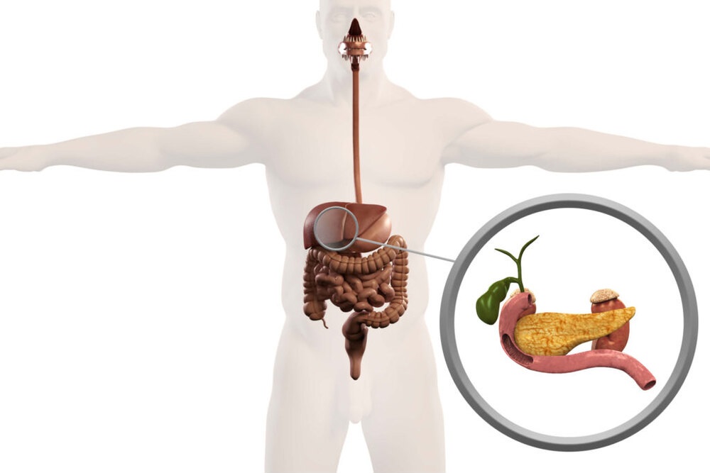 What is Biliary Drainage