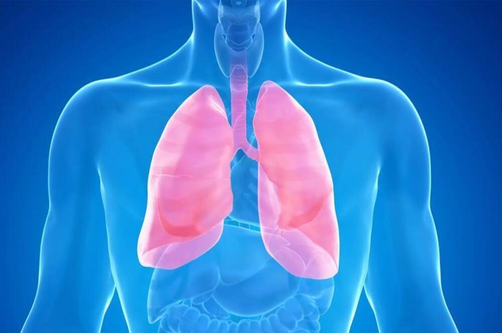 What is Pleural Effusion